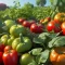 From Seed to Supper: Your Guide to Planting a Thriving Garden in 2024